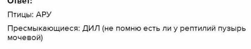 Найди соответствие между классом животного и его признаками; запиши соответствующие буквы (в алфавит