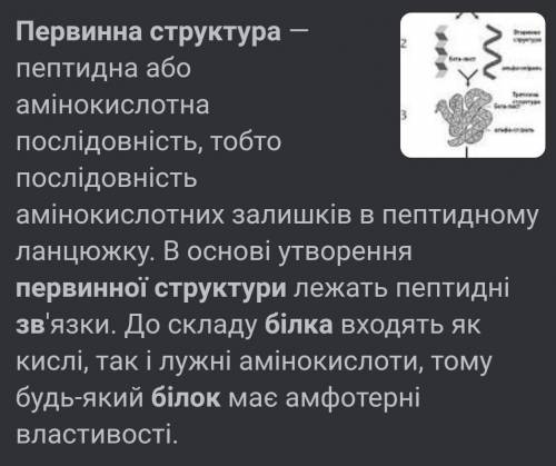 Первинна структура білка визначається зв'язком​