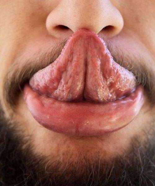 Как лизнуть нос языком?