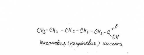 Скажите структурную формулу карбоновых кислот с 6 атомами карбона