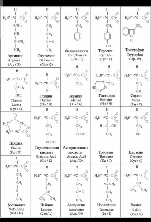 Позначте дві формули амінокислот​