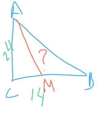 катеты прямоугольного треугольника равны 24 и 14 см. Найти длину медианы, проведенной к меньшему кат