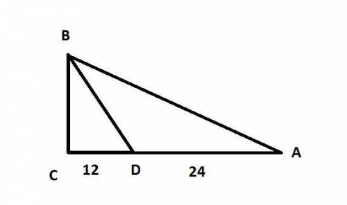 Бісектриса гострого кута прямокутного трикутника поділила протилежний катет на відрізки довжиною 24