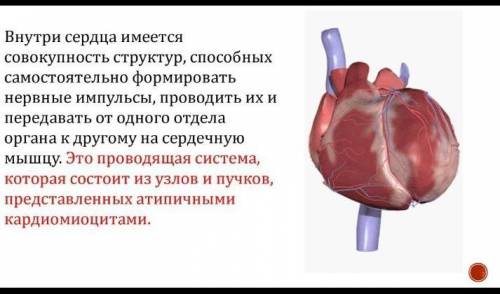 Какая последовательность передачи импульса в проводящей системе сердца?