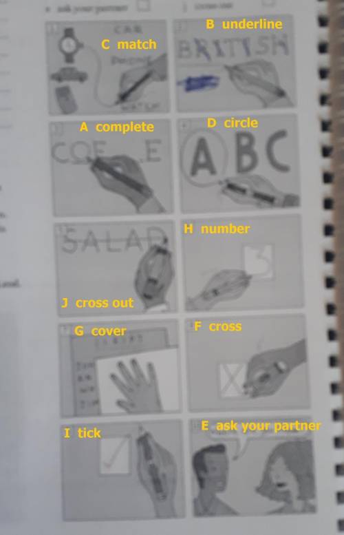 Match the world to the pictures a complete b underline c match d circle e ask your partner f cross g