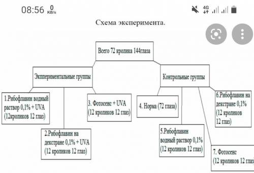 1) название экспериментальной работы; 2) цель эксперимента; 3) приборы и оборудование, применяемые в