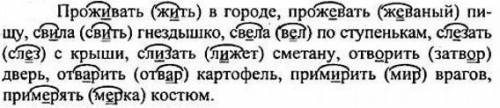Русский язык Номер 36