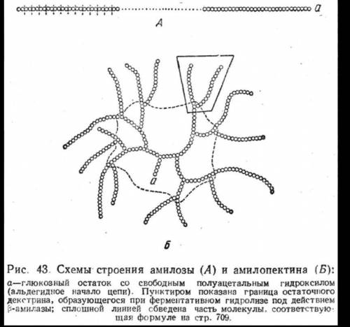 Нарисуйте схему крахмала​