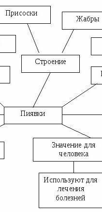 Составить кластер клетка не менее 30 понятий как можно скорее​