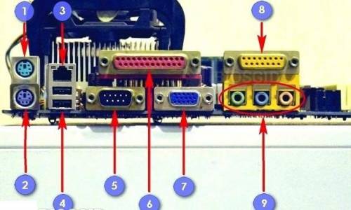 Какие устройства подсоединяются к портом ввода-вывода системного блока? ​