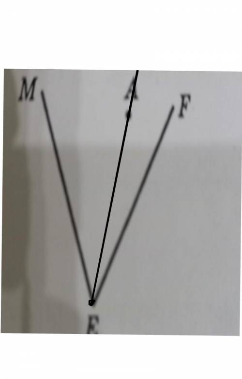 2. Даны угол MEF и точка A, лежащая в его внутренней области (рис. 49). Проведите луч с началом в то