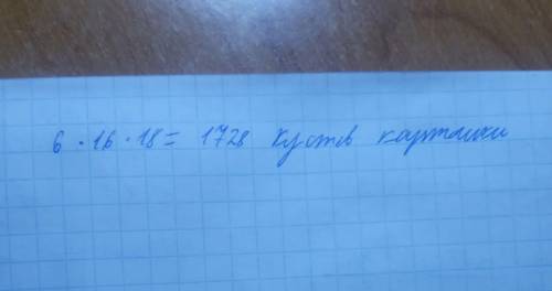 На огороде 6 грядок. На каждой грядке посажено 16 рядов по 18 кустов картошки. Сколько кустов картош