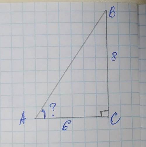В треугольнике ABC угол C равен 90 градусов,AC=6,BC=8 Найдите cos A