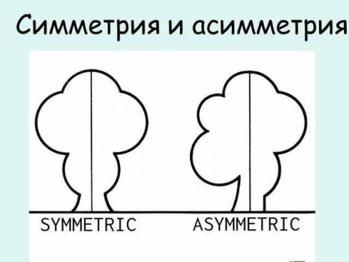 Что такое асиметрия?​