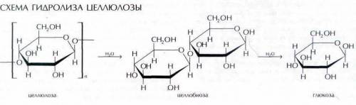 Написать реакции гидролиза целлобиозы и трегалозы с использованием структурных формул Хеуорса, указа