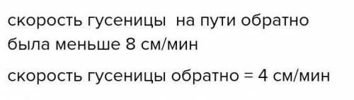 Гусеница переползла с одного листа дерева на другой и тут же вернулась обратно тем же маршрутом, при