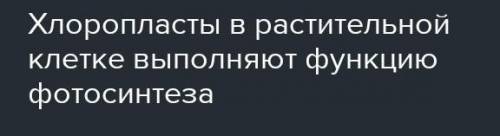 Подскажите ФУНКЦИЮ стромы в хлоропласте. Именно В ХЛОРОПЛАСТЕ (в растительной клетке)