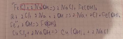 Напишите полное ионное уравнение, а потом сокращённое уравнение