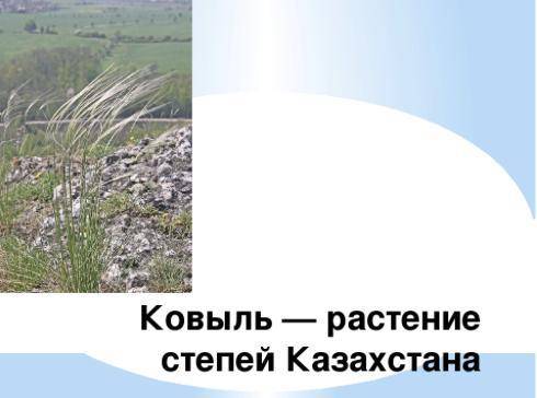 Подготовьте проект к слову флора Казахстана и защитите его в виде перезентаций.