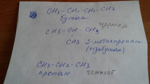 Для данного углеводорода составьте структурные формулы гомолога, одного изомера и назовите все три в