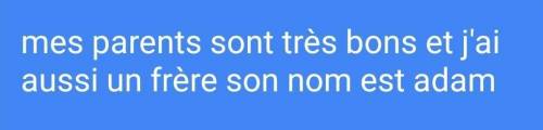 Напишите текст на французском языке про мою семью
