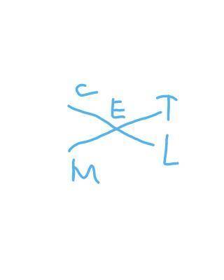 Известно что угол CET и MEL вертикальные. Найдите углы, смежные с CET если, угол CET=5CEM.