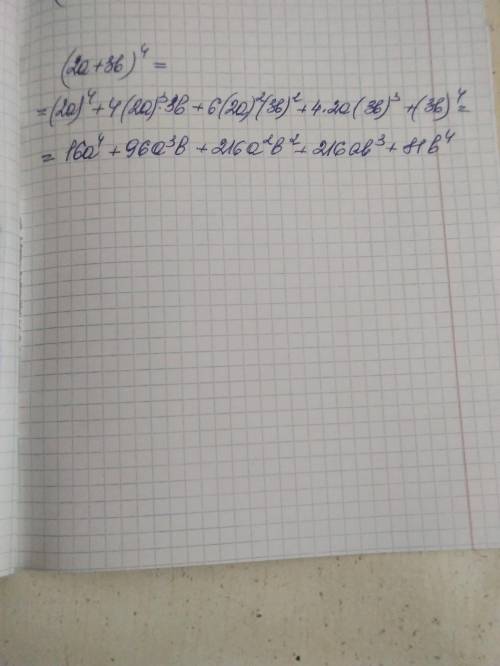 Разложите по формуле бинома Ньютона (2a + 3b)^4 .