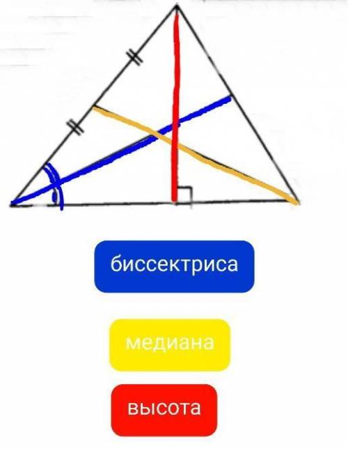 трикутник і провести висоту , медіана ,бісектрису .