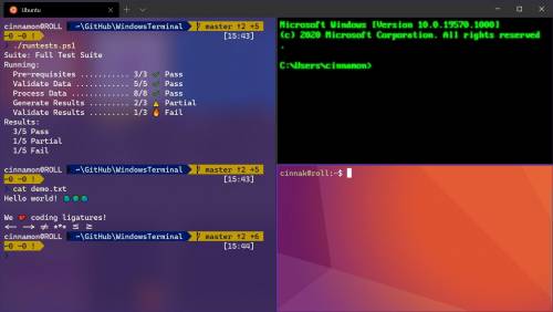 Отличие между командной строкой в Windows и терминалом в Linux