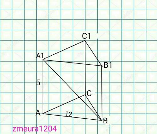 Знайдіть діагональ бічної грані правильної трикутної призми,якщо бічне ребро дорівнює 5,а ребро осно