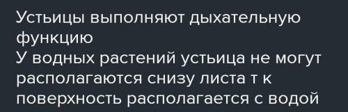 Чем обусловлено разное расположен ие устьиц у растений, обитающих в разных средах жизни?