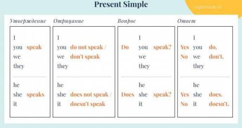 Task 4 (15 points). Make positive, negative sentences or questions in Present Simple. Example: I/ear