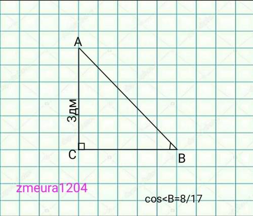 N150 б) В прямоугольном треугольнике ABC угол C = 90°, AC = 3 дм, соs B = 8/17 Найдите CB и AB