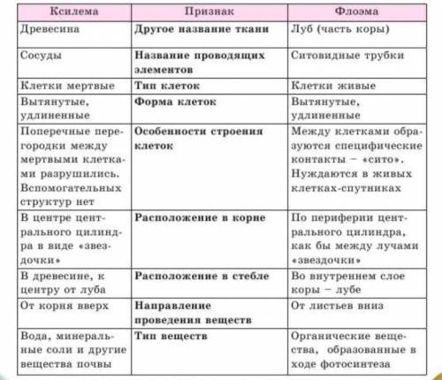 Флоэма (б) Укажите различия в строении и функции ксилемы и флоэмы: Признаки Ксилема 1. Название пров