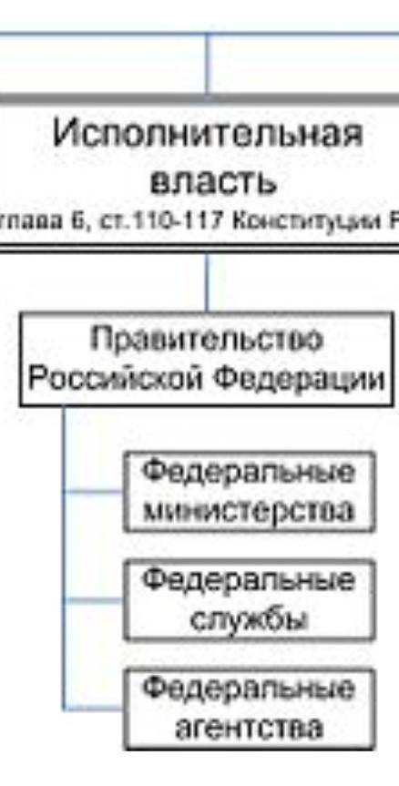 Заполните таблицу Структура органов государственной власти РФ (кратко)
