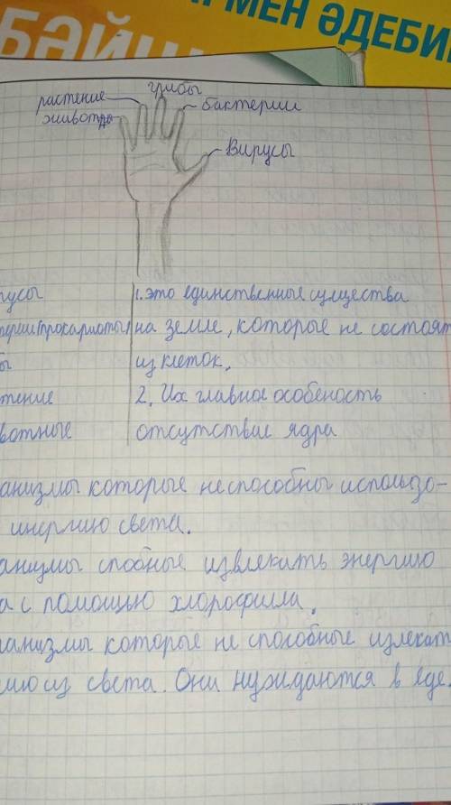 Всем здравствуйте!Можете ?Мне нужно по биологии пятый класс написать признаки царства животных, раст