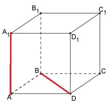 В кубе АBCDA1B1C1D1 Установите взаимное расположение прямых АА1 И BD(ответ поясните) желательно с ри