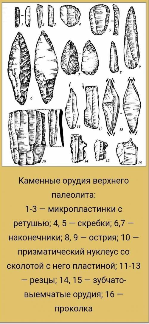 ДАМ 50!отметьте изменение ,произошедшие в жизни людей в период верхнего палеолита.