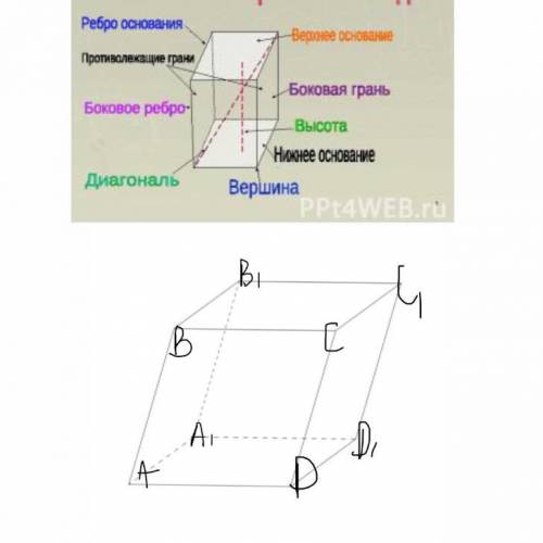 . надо сделать чертеж параллелепипеда, указать на чертеже его основания,боковые грани,боковые ребра,