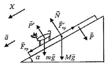 Доска массой M может двигаться без трения по наклонной плоскости с углом наклона α к горизонту. В ка
