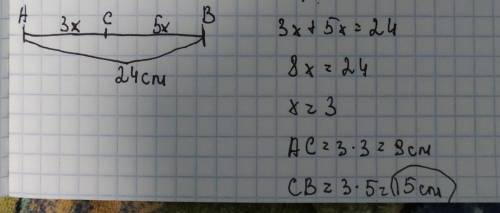 Точка C делит отрезок AB в отношении 5 : 3, считая от точки А. Если длина отрезка AB равна 24, то дл