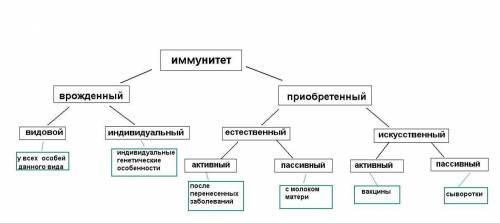 Определи соответствие между защитным свойством организма человека и видом иммунитета (1 — активный,