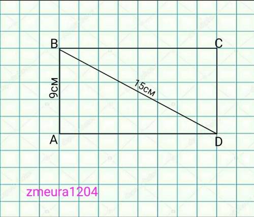 Найдите периметр прямоугольника, если его диагональ равна 15 см,а одна из сторон - 9 см Все понято,