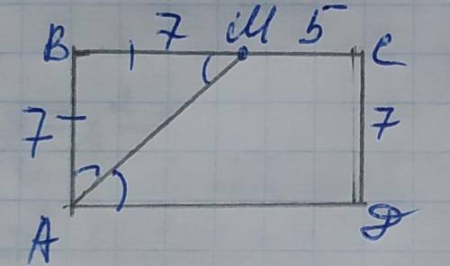 Биссектриса am прямоугольника abcd делит сторону bc на отрезки bm и mc соотвественно равные 7 и 5 на