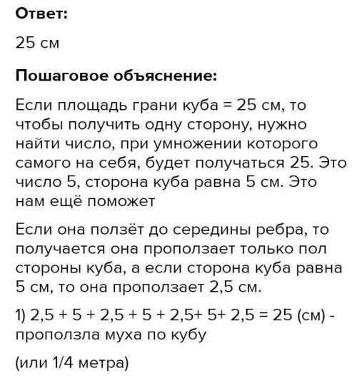 Муха ползает по поверхности куба вдоль красной линии от точки к точке . Определи длину проделанной м