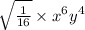 \sqrt{ \frac{1}{16} } \times x {}^{6} y {}^{4}