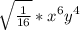 \sqrt{\frac{1}{16}} * x^{6} y^{4} \\