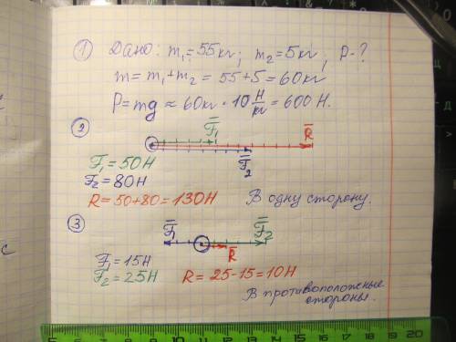 1. Человек, масса которого 55 кг, держит на плечах ящик массой 5 кг. С какой силой человек давит на