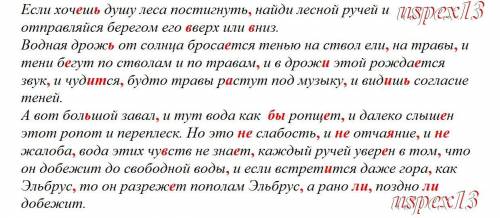 Если хоч...ш... душу леса постигнуть найди лесной ручей и отправляйся берегом его в(верх) или в(низ)