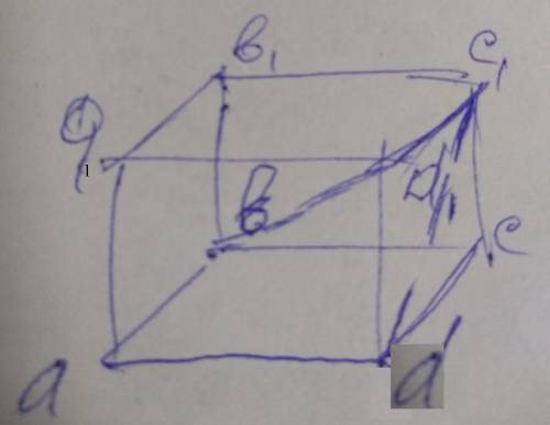 Дан куб abcda1b1c1d1. Найдите угол между прямыми bd1 и dc1